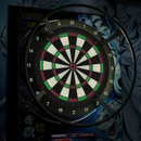 CueSoul D8 Dartboard Light