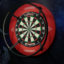 CueSoul D8 Dartboard Light