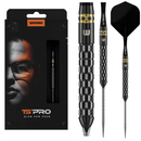Gian van Veen TS-PRO Switch Points  - 90% Tungsten Darts