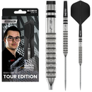 Gian van Veen Tour Edition Switch Points - 90% Tungsten Darts