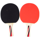 Table Tennis Warrior 4 Player Set